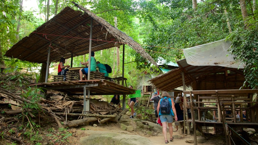 Namuang Waterfall showing forest scenes as well as a small group of people