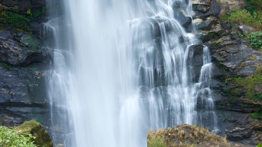 Parque Nacional Doi Inthanon que incluye una cascada y escenas forestales