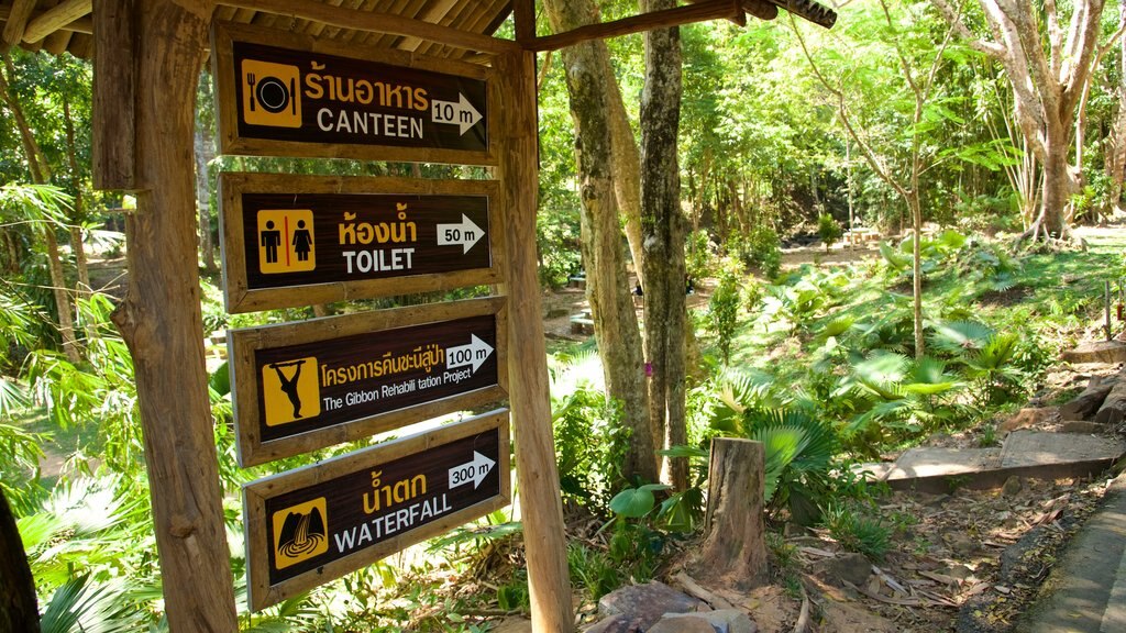 Phuket - Phang Nga which includes rainforest and signage