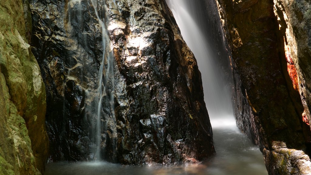 Bang Pae Waterfall featuring a waterfall