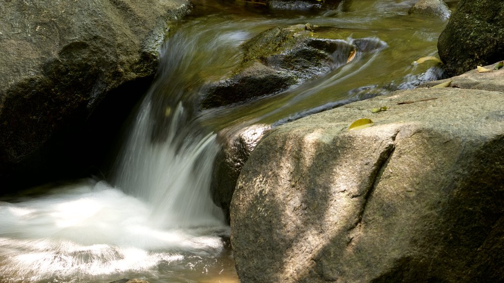 Wasserfall Bang Pae das einen Fluss oder Bach