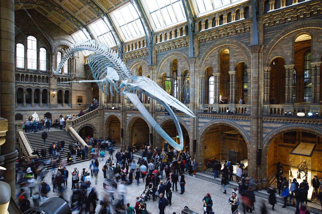 Ulster_Museum.jpg?1576857747
