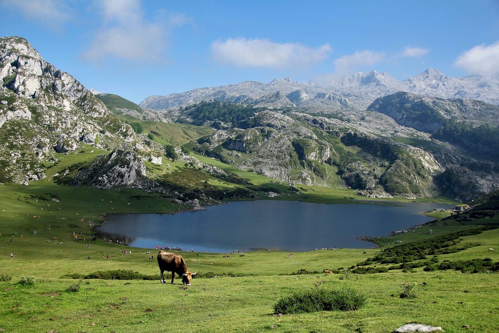 Covadonga.jpg?1561065727