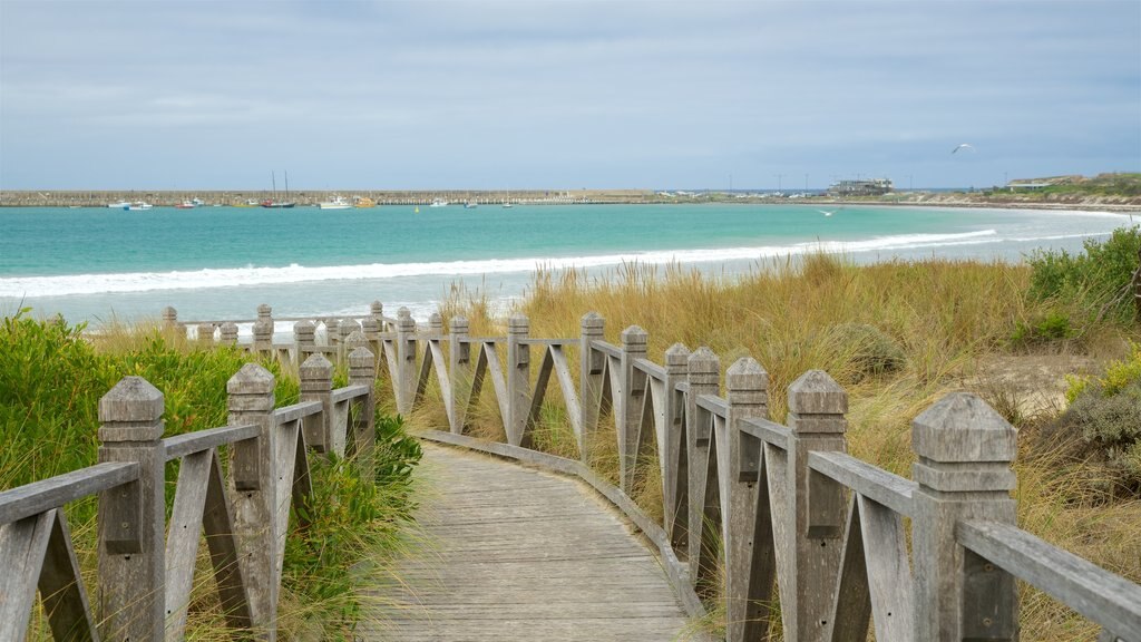 Great Ocean Road mettant en vedette vues littorales