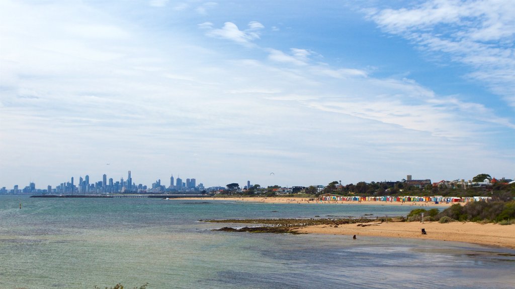 Brighton Beach showing a sandy beach