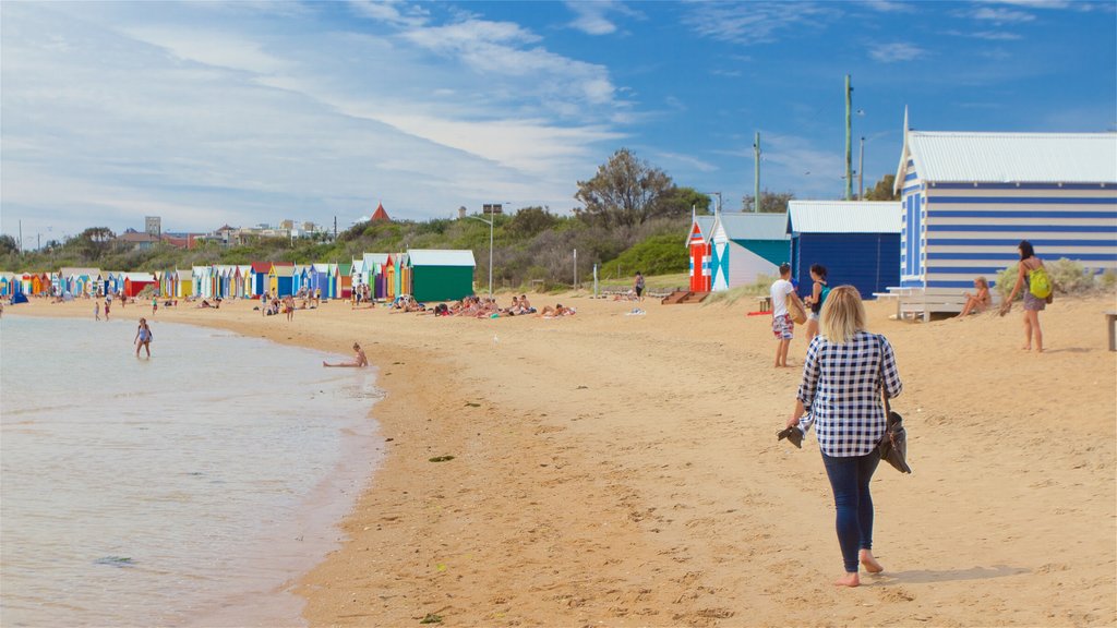 Brighton Beach showing a sandy beach