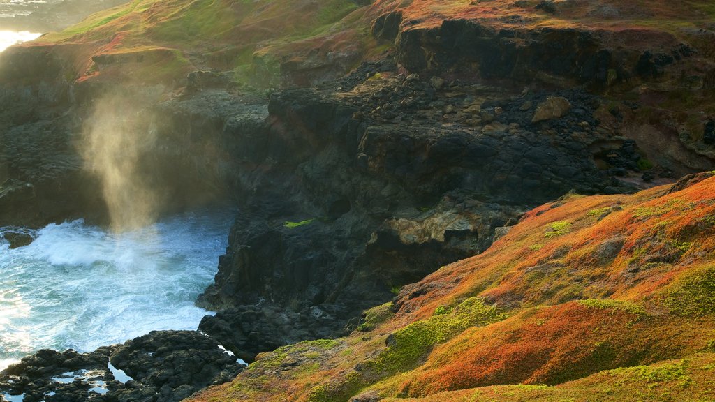 Phillip Island which includes rugged coastline