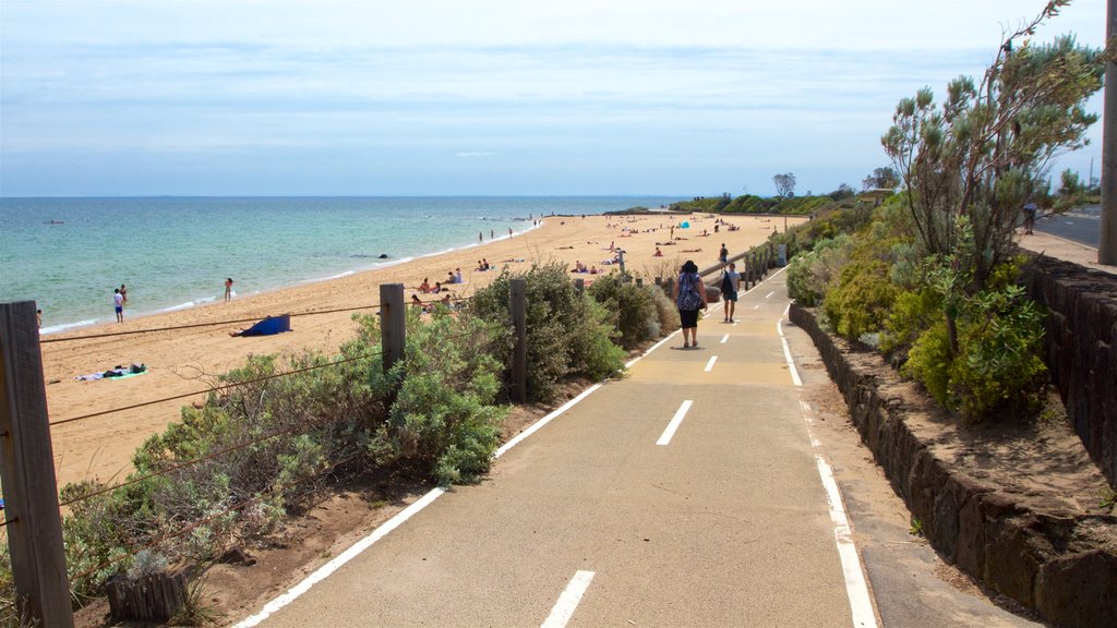 Brighton Beach which includes a beach and hiking or walking