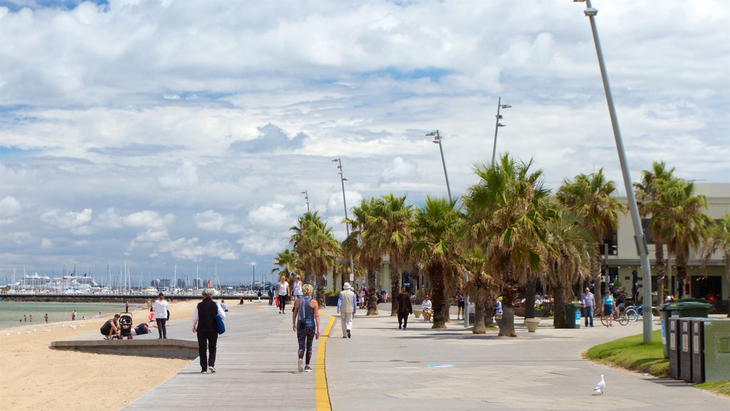 St. Kilda Beach which includes a beach as well as a small group of people