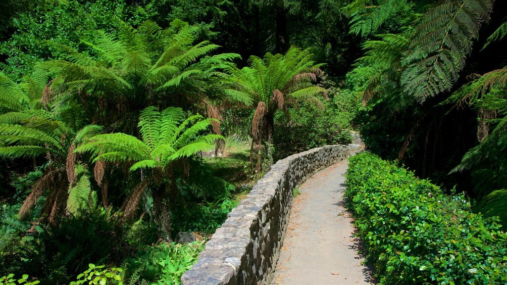 National Rhododendron Gardens showing a park