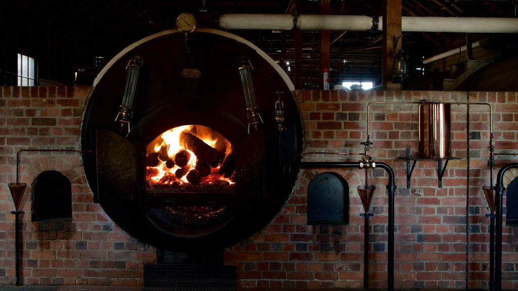 Sovereign Hill showing interior views