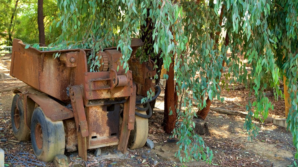 Central Deborah Gold Mine