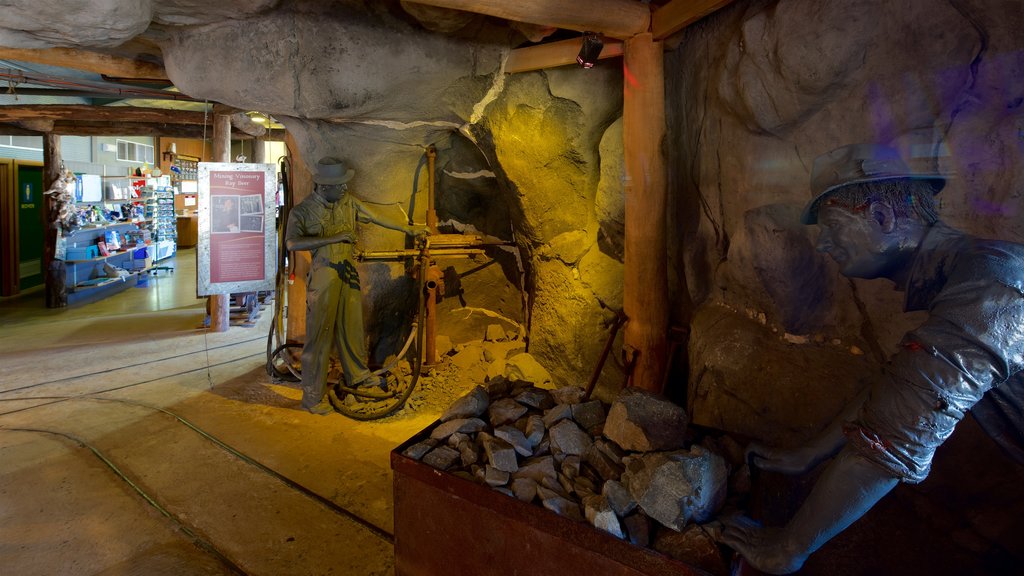 Central Deborah Gold Mine which includes interior views