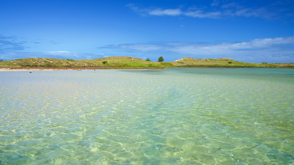 Phare de Griffiths Island montrant une baie ou un port