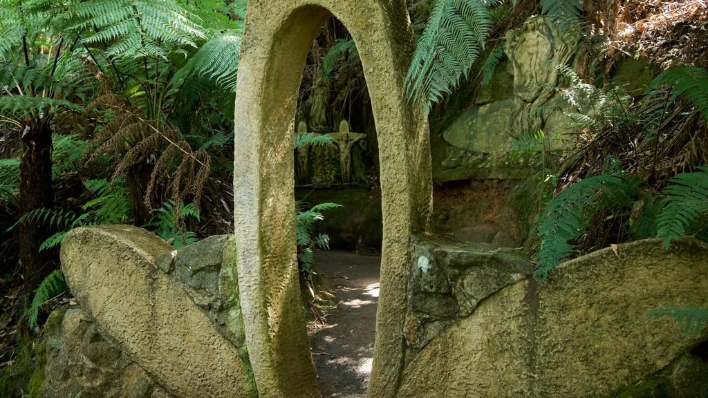 Olinda ofreciendo jardín y arte al aire libre