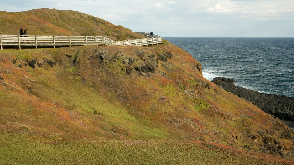 Phillip Island que inclui litoral acidentado e paisagens