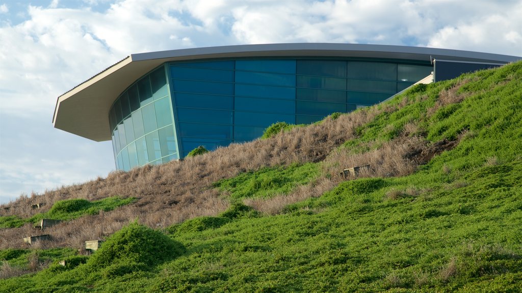 Phillip Island showing general coastal views and zoo animals