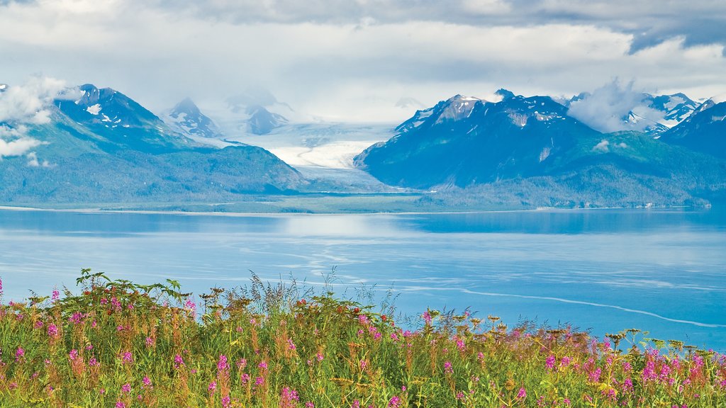 Península Kenai ofreciendo flores, un lago o abrevadero y montañas