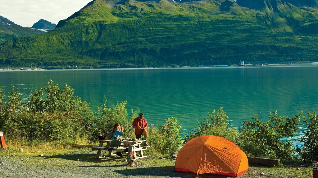 Valdez which includes mountains, tranquil scenes and a bay or harbour