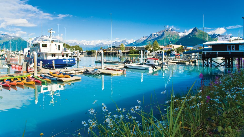 Valdez montrant kayak ou canot, bateau et montagnes