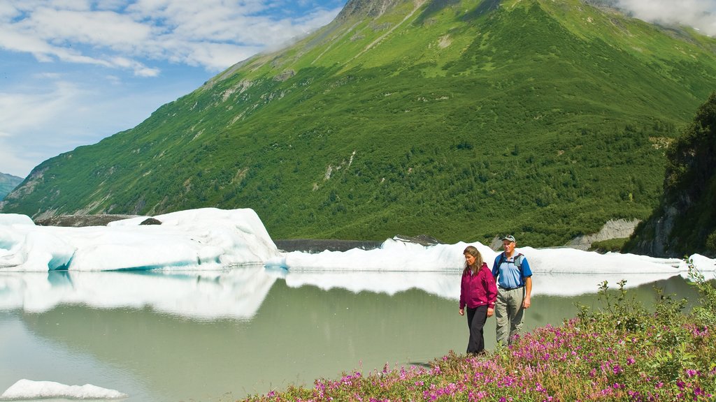 Valdez montrant montagnes, paysages paisibles et une baie ou un port