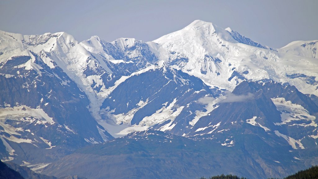 Valdez som inkluderar snö och berg