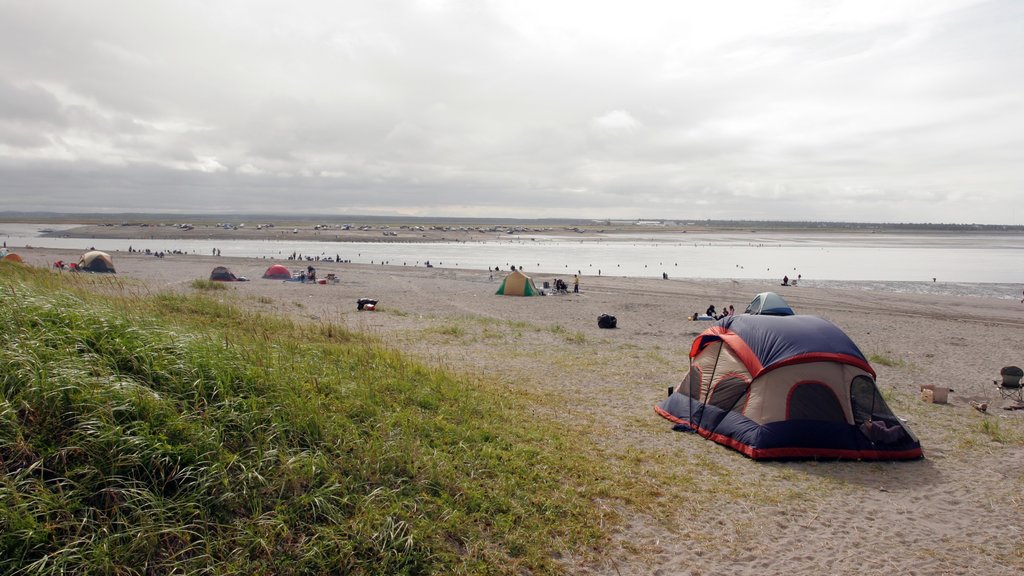 Kenai showing camping, a bay or harbour and a sandy beach