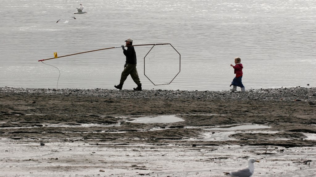 Kenai showing a bay or harbour and fishing as well as an individual male