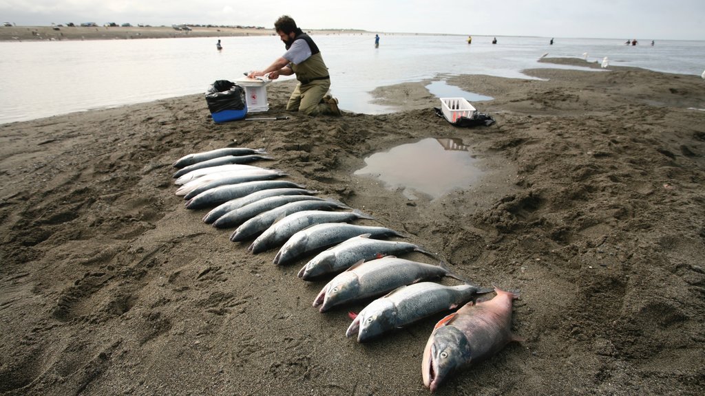 Kenai showing fishing and a bay or harbour as well as an individual male