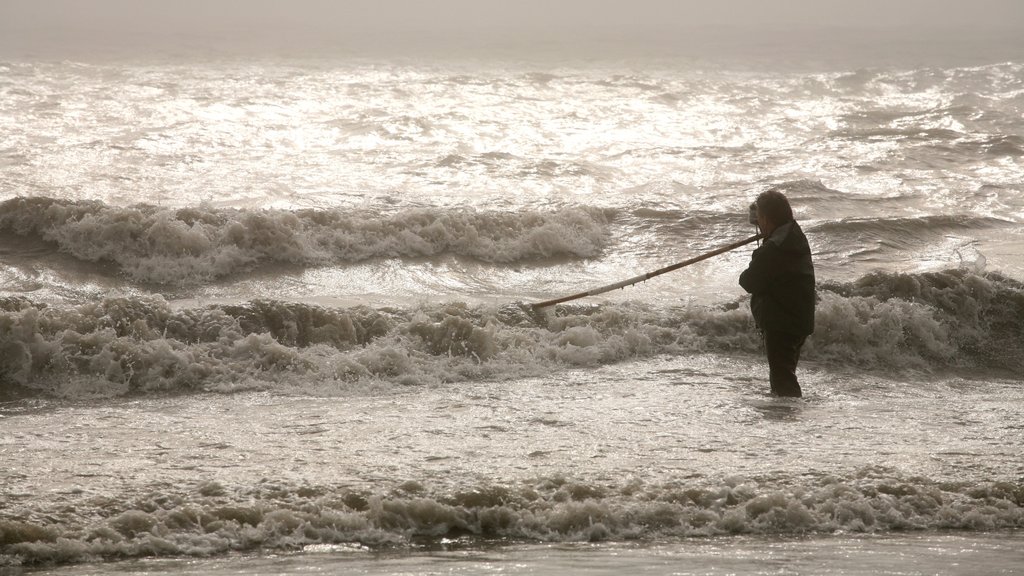 Kenai which includes a bay or harbour, waves and fishing