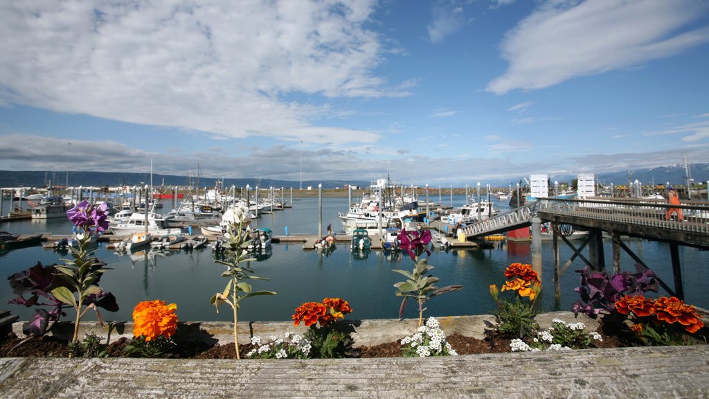 Homer showing a marina, a bay or harbour and flowers