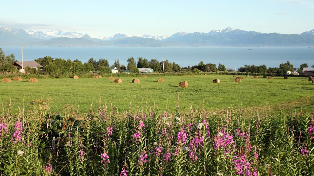 Homer showing farmland, a bay or harbour and mountains