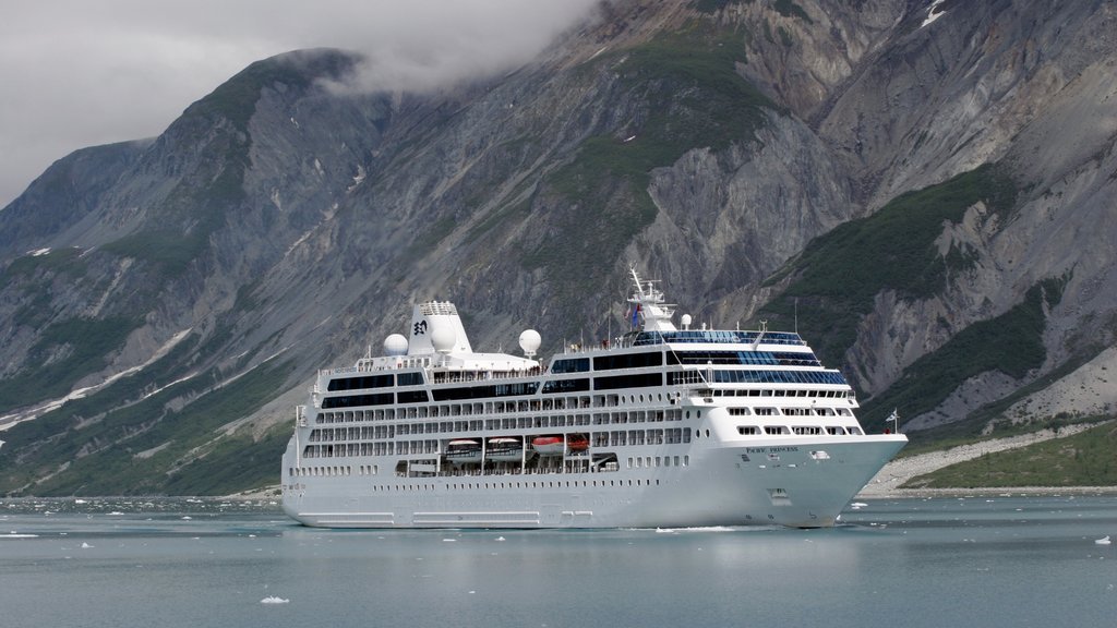 Parc National de Glacier Bay montrant montagnes, croisière et baie ou port