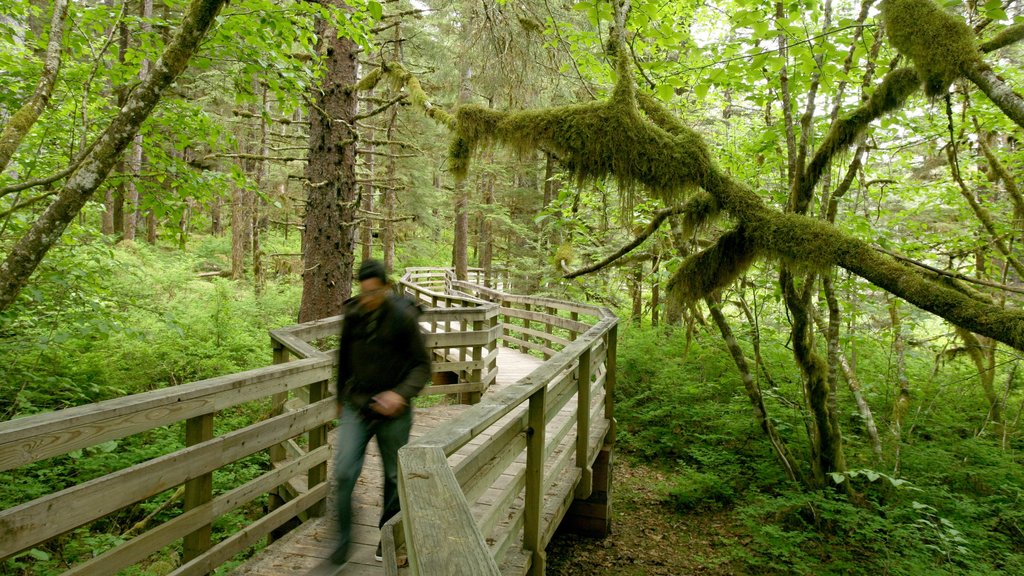 Glacier Bay National Park showing forest scenes as well as an individual male