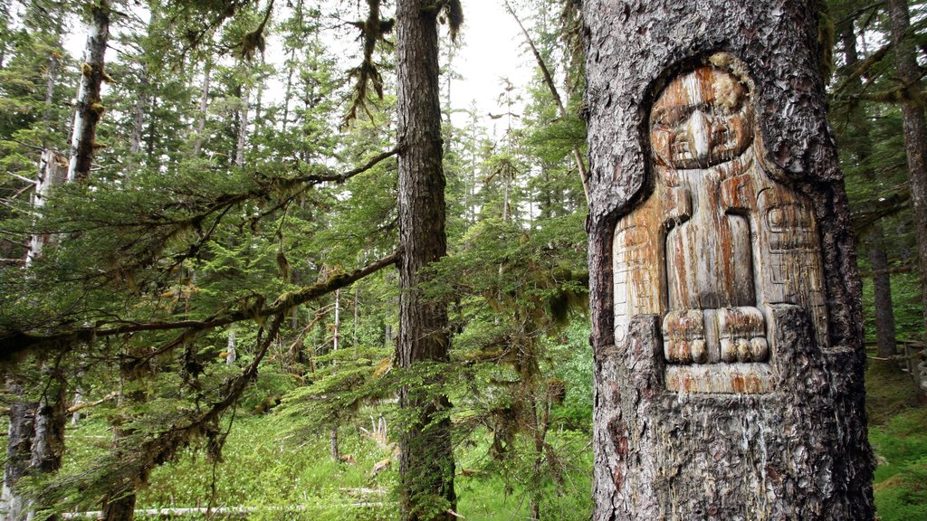 Glacier Bay National Park mostrando escenas forestales y arte al aire libre