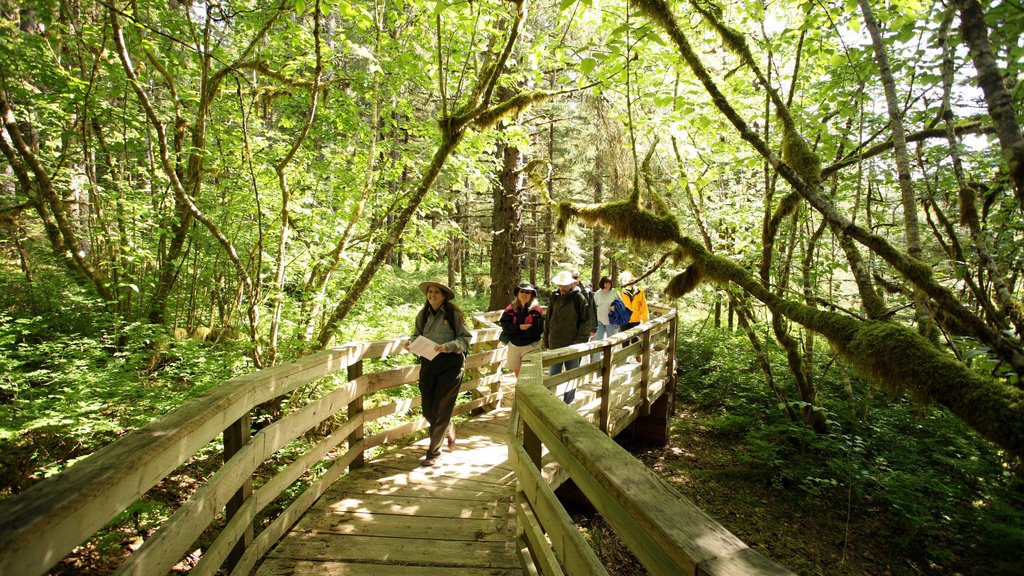 Parc National de Glacier Bay mettant en vedette forêts aussi bien que un petit groupe de personnes