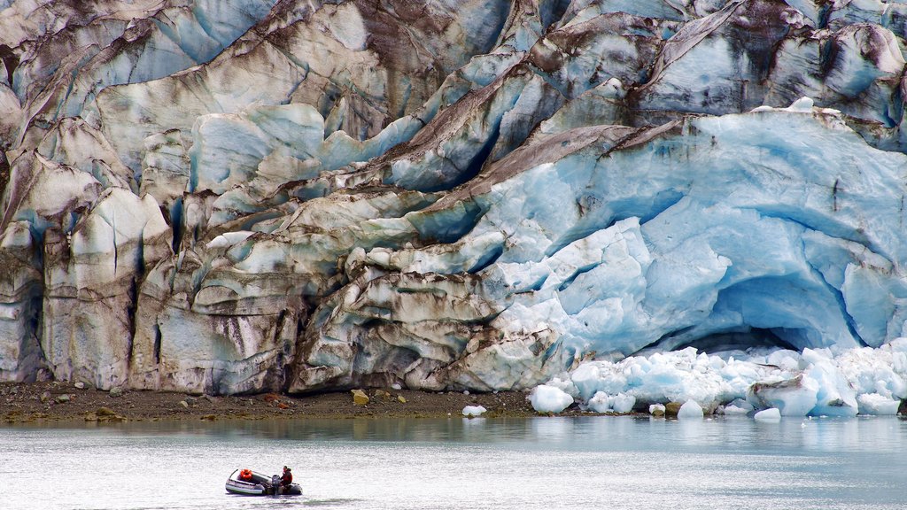 Glacier Bay National Park welches beinhaltet Bootfahren und Bucht oder Hafen