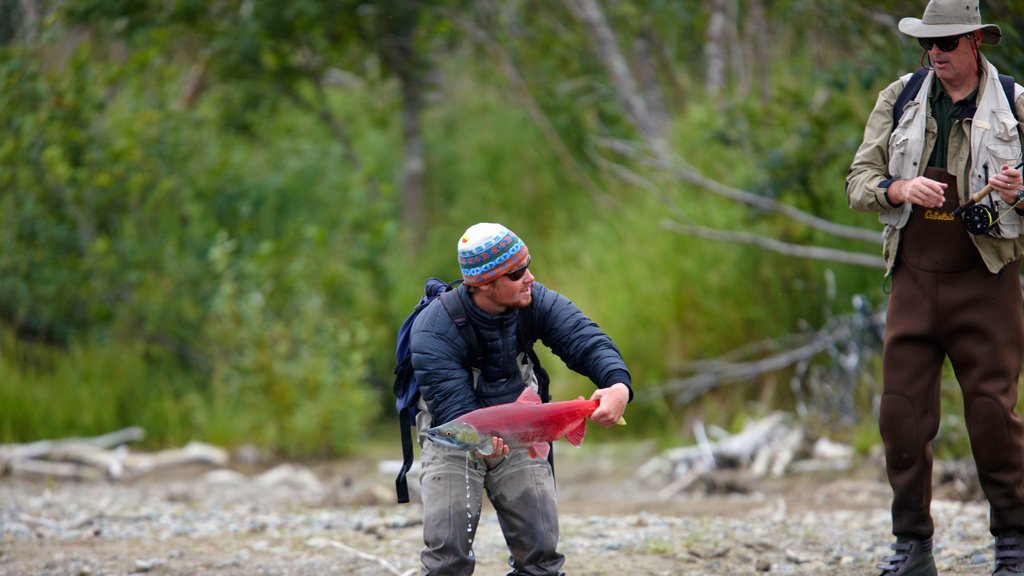 King Salmon showing forest scenes, fishing and marine life