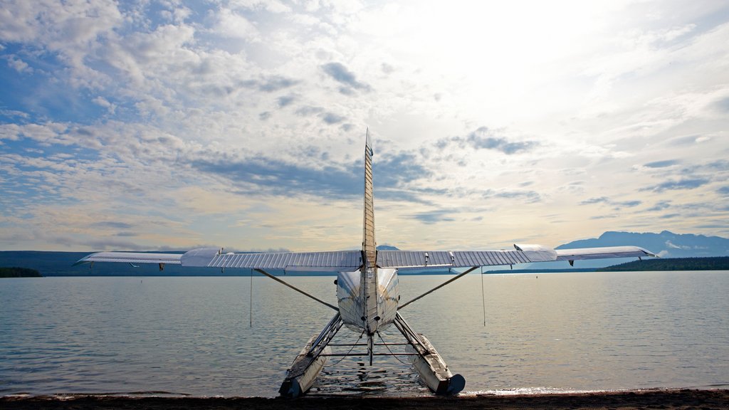 King Salmon showing aircraft and a lake or waterhole