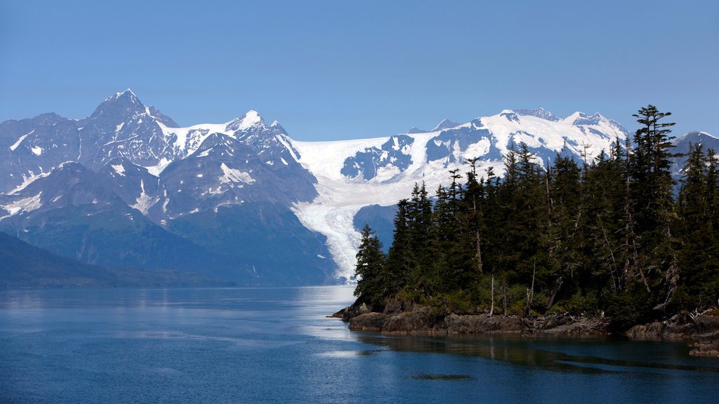 South Central Alaska showing a bay or harbor, forests and mountains