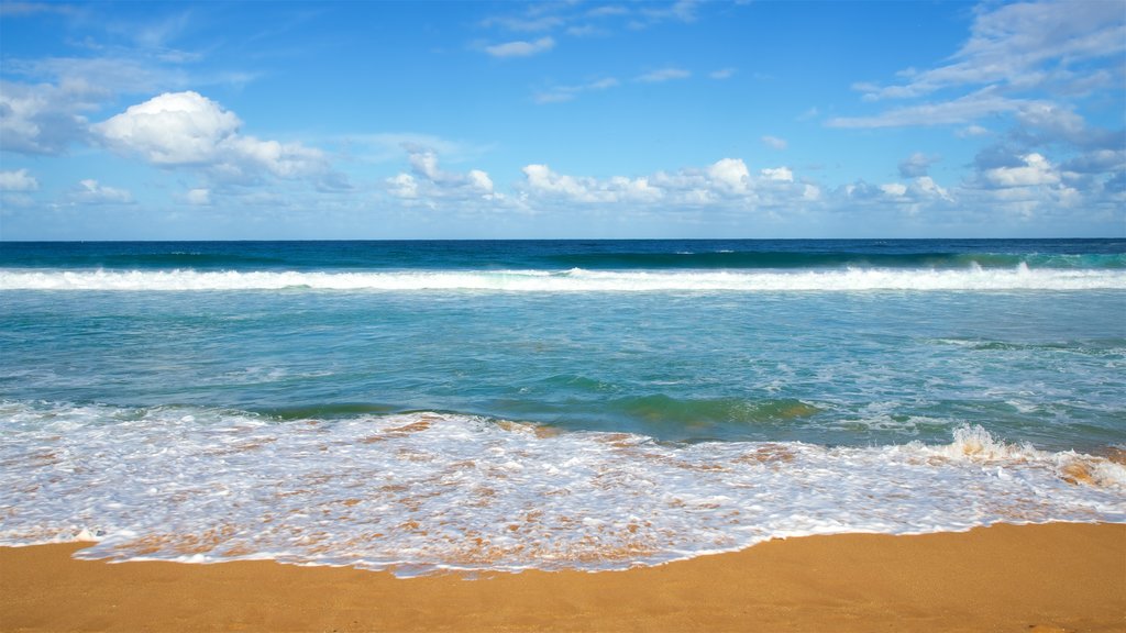 Avoca Beach ofreciendo una playa de arena, olas y una bahía o un puerto