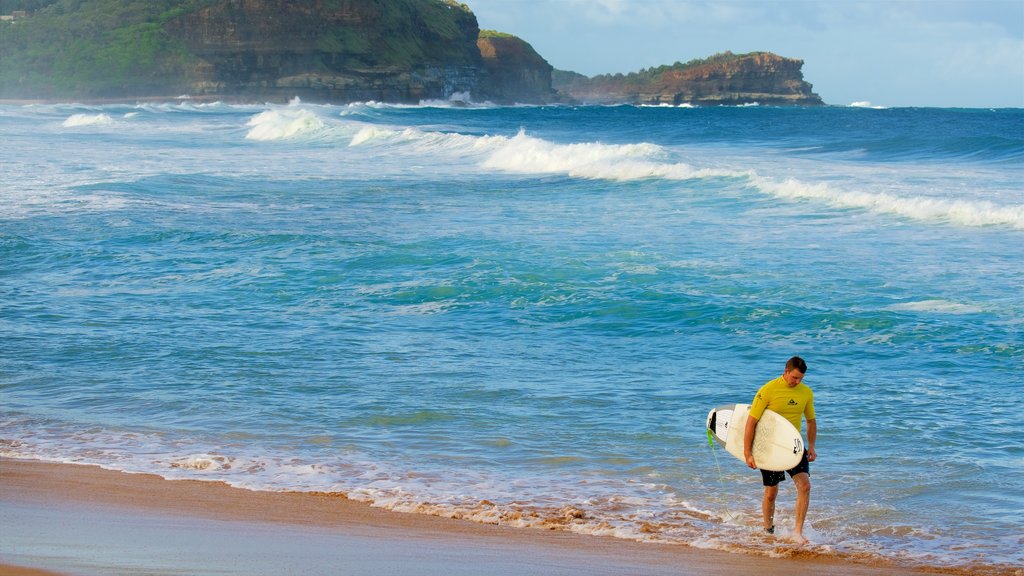 Avoca Beach showing surfing, a beach and rugged coastline