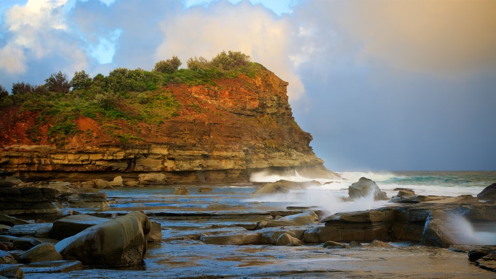 Terrigal mostrando una puesta de sol, costa rocosa y olas