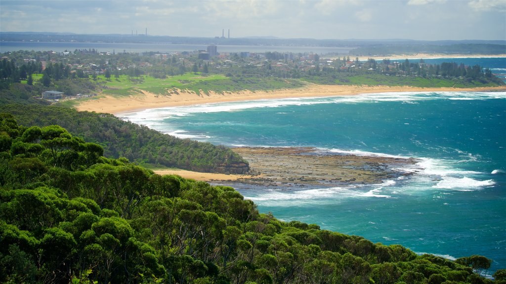 Parque Nacional Wyrrabalong caracterizando uma praia, ondas e uma baía ou porto