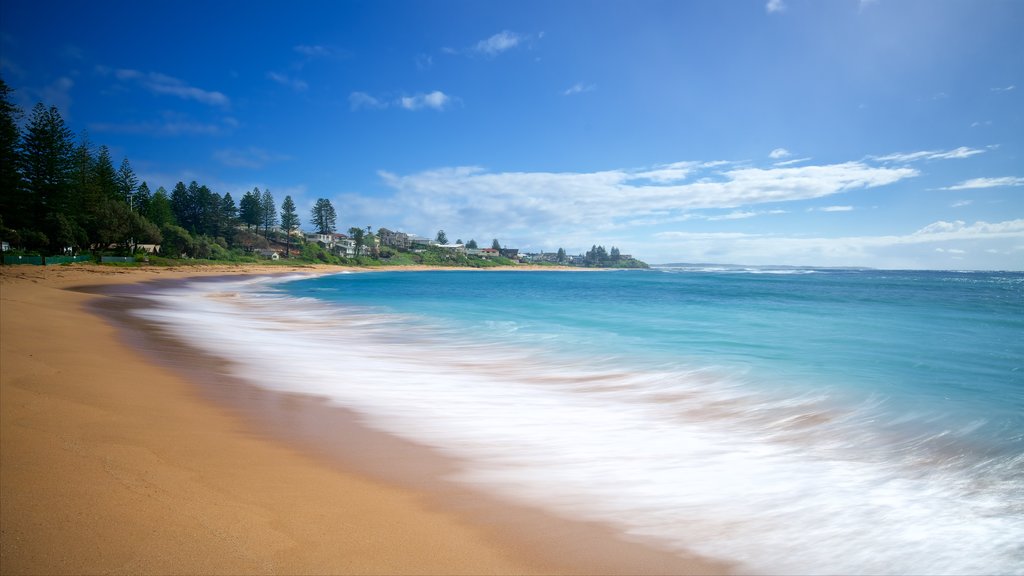 The Entrance featuring a sandy beach and a bay or harbour