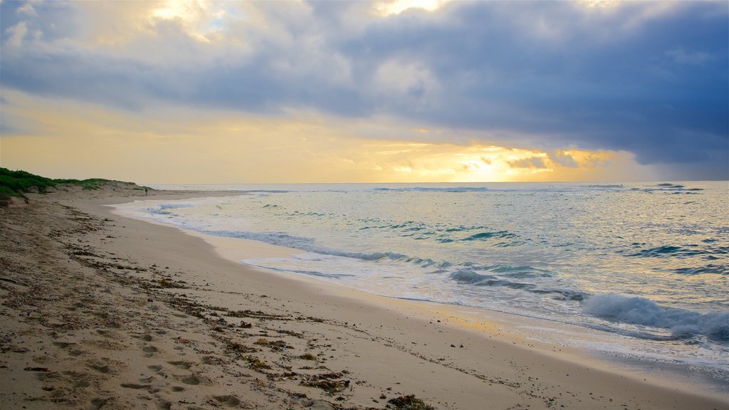 Central Coast inclusief een strand, een zonsondergang en algemene kustgezichten