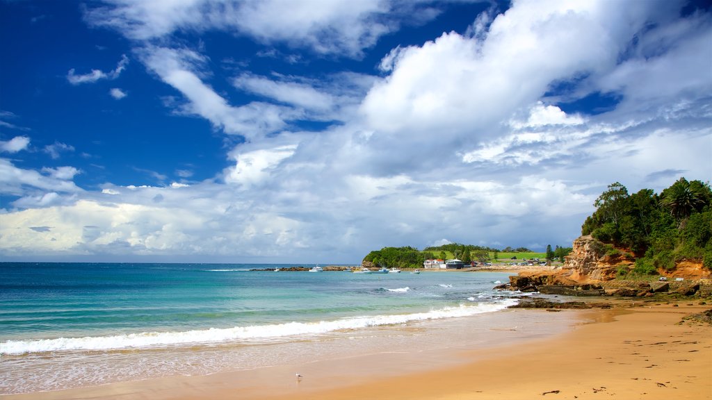 Terrigal which includes a sandy beach and a bay or harbour