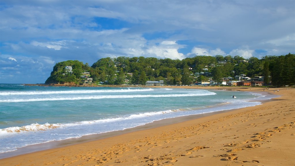 Avoca Beach montrant une plage, une baie ou un port et une ville côtière