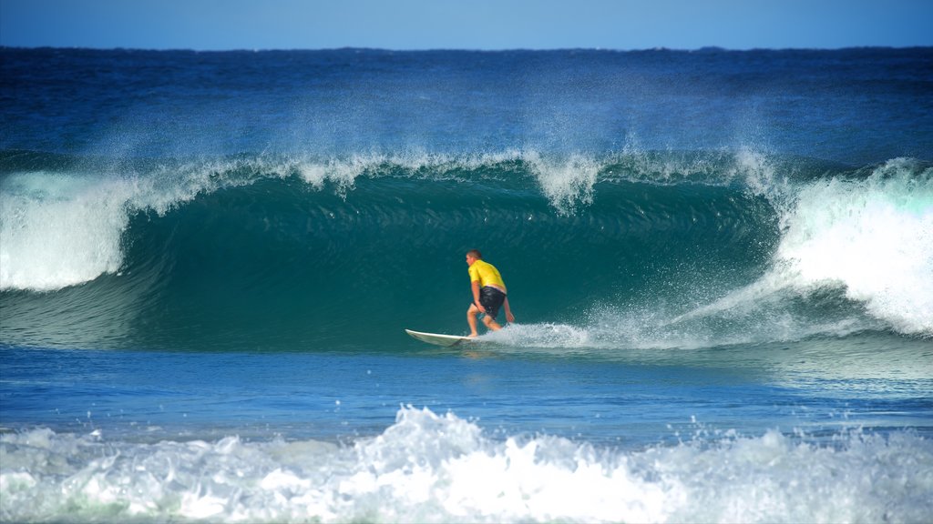 Avoca Beach showing waves, a bay or harbor and surfing