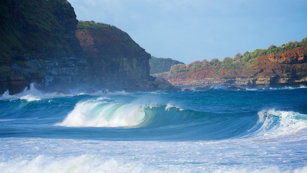 Avoca Beach mostrando surfe, litoral acidentado e uma baía ou porto